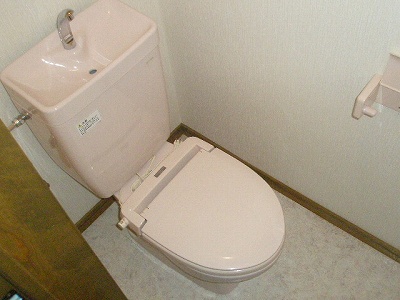 Toilet. It is warm in winter in the water washing heating toilet seat. 