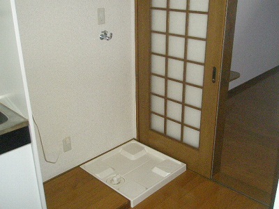 Other. Indoor Laundry Storage is the kitchen side. 