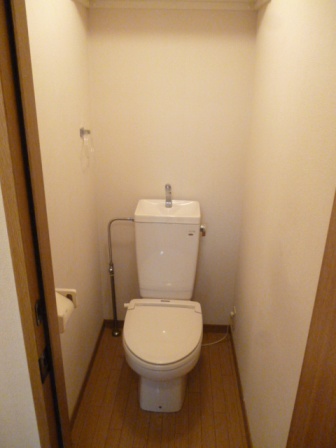 Toilet. Reference photograph