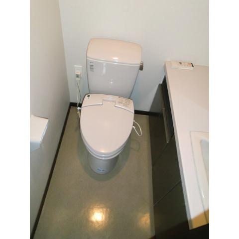 Toilet