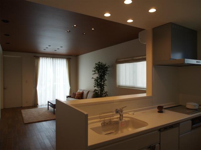 Kitchen. Room (May 2013) Shooting