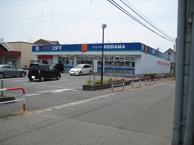 Dorakkusutoa. Medicine of Kodama Minamidekijima shop 616m until (drugstore)