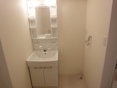 Washroom. With shampoo dresser! 