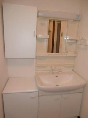 Washroom. Wash basin with shampoo dresser