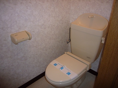 Toilet. Heating toilet seat