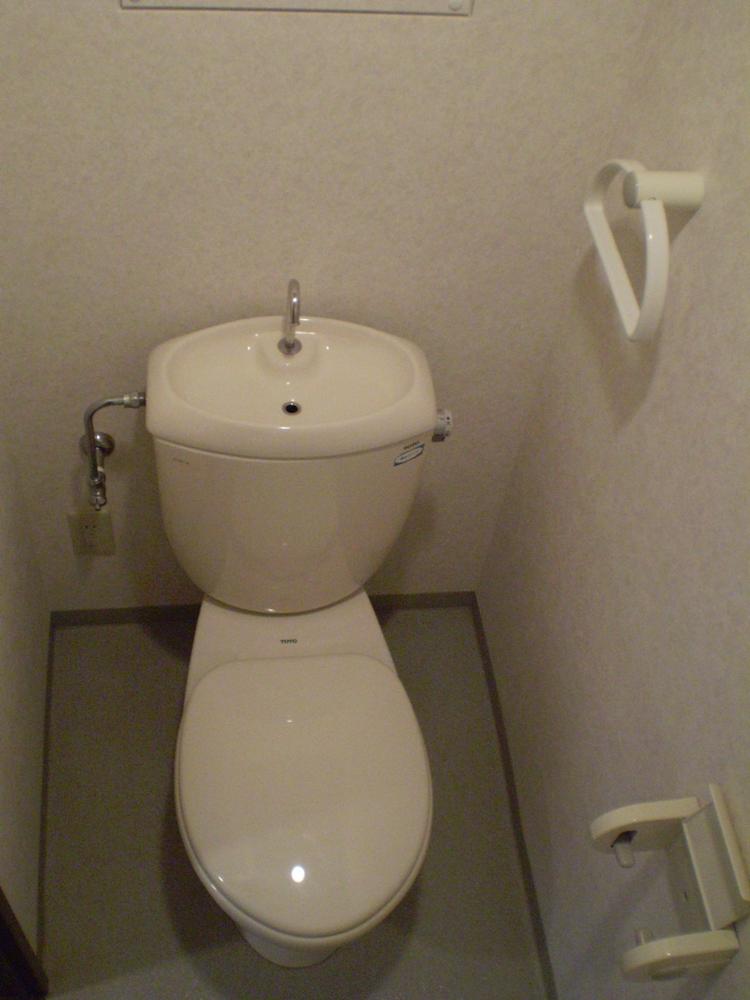 Toilet. Indoor (January 2012) shooting