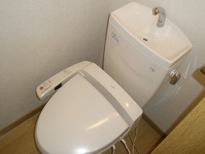 Toilet. Heating is cleaning with toilet. 