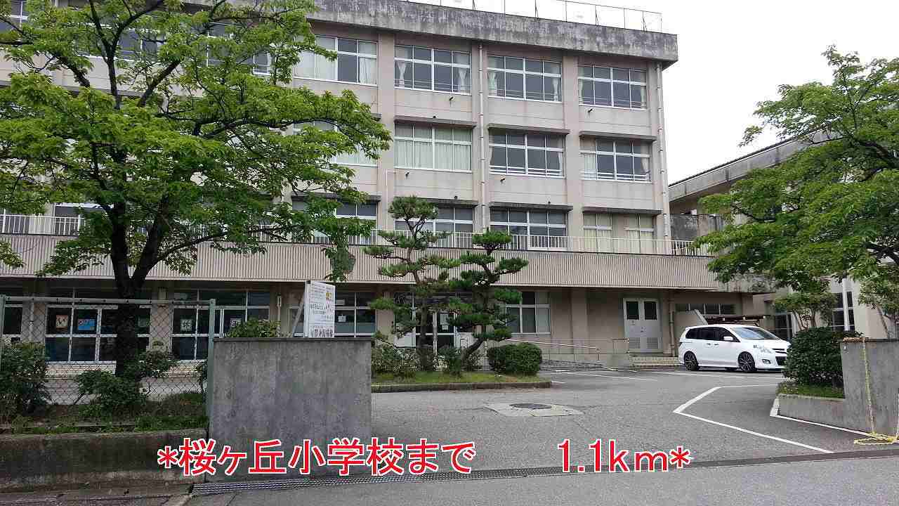 Primary school. Sakuragaoka to elementary school (elementary school) 1100m