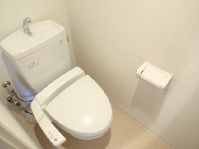 Toilet. The same type reference photograph