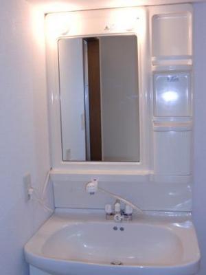 Washroom. Wash basin with shampoo dresser