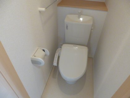 Toilet. Same type model