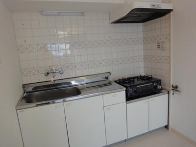 Kitchen. 2 lot gas stoves in the kitchen