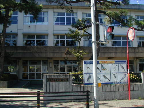 Primary school. 500m to Niigata Municipal Hamaura elementary school (elementary school)