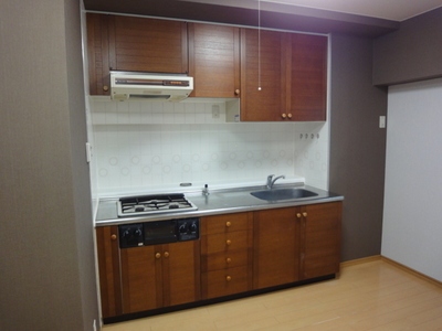 Kitchen. With grill