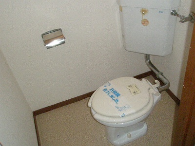 Toilet. It is washed with water Western Toilet. 