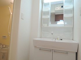 Washroom. Shampoo with Dresser
