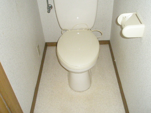 Toilet. Warm even in winter in heating toilet seat! 