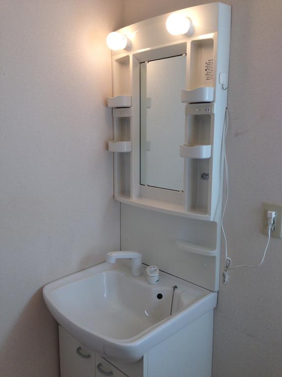 Washroom. Vanity with shower