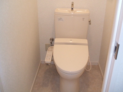 Toilet. Bidet with toilet