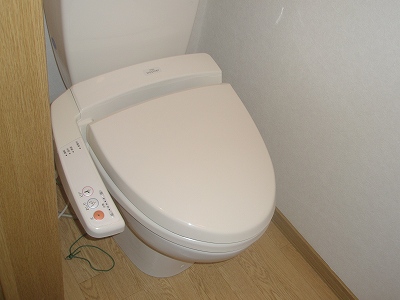 Toilet. Heating is cleaning toilet seat