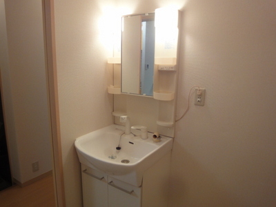 Washroom. With shampoo dresser! 