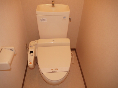 Toilet. Warm water washing toilet seat