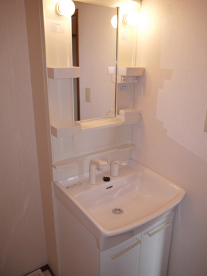 Washroom. Shampoo dresser