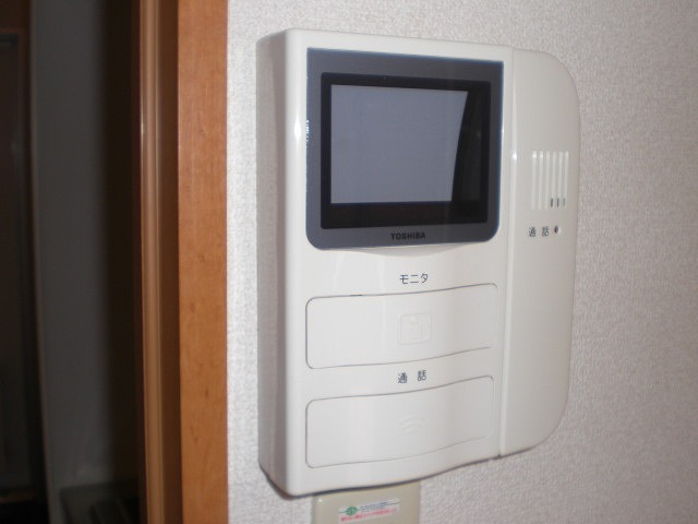 Security. Intercom with TV monitor