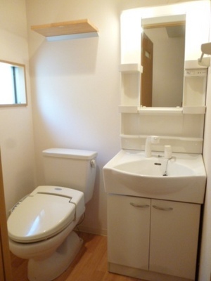 Toilet. Wash basin: space together with a toilet. It is fashionable ~