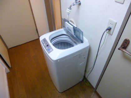 Living and room. Washing machine. 