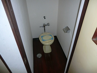 Toilet. It is washed with water Western Toilet. 