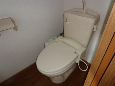 Toilet. Warm water washing toilet seat