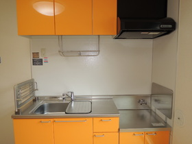 Kitchen. Stylish orange