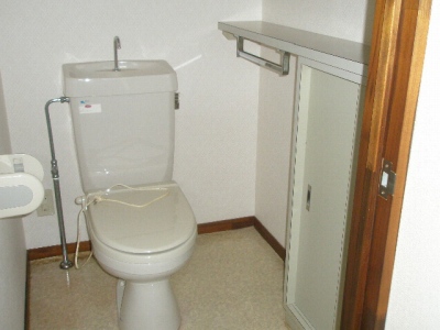 Toilet. Small with storage also in the toilet