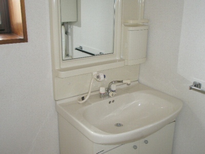 Washroom. Shampoo dresser