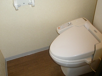 Toilet. Heating is cleaning toilet seat. 