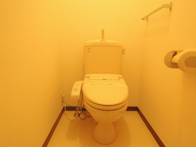 Toilet. With warm water washing toilet seat