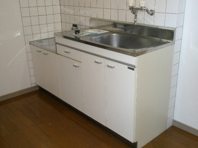 Kitchen. Kitchen sink