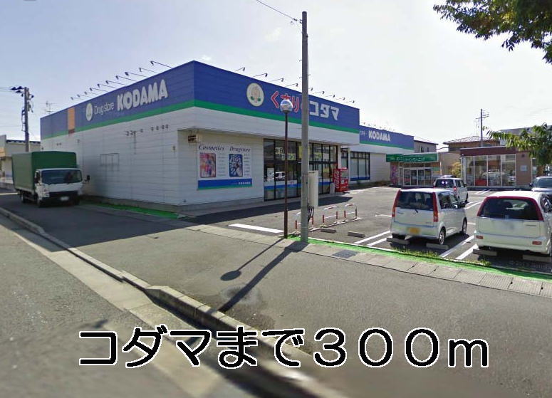 Dorakkusutoa. Kodama 300m until (drugstore)