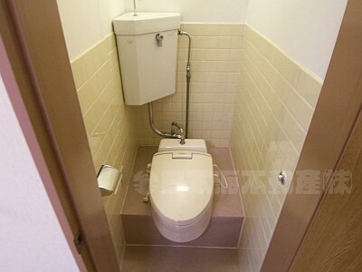 Toilet. With Western-style cover