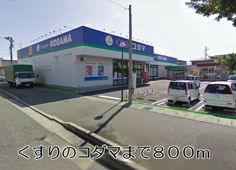 Dorakkusutoa. Kodama 800m until (drugstore)