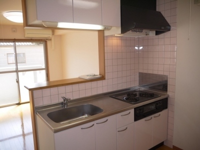 Kitchen. Kitchen: System kitchen (with grill)