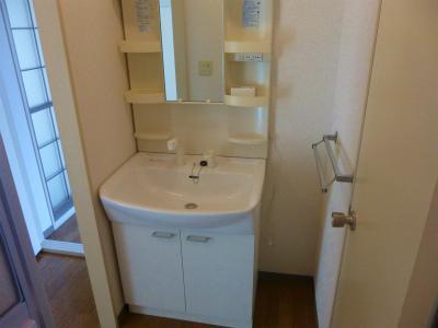 Washroom. Shampoo dresser