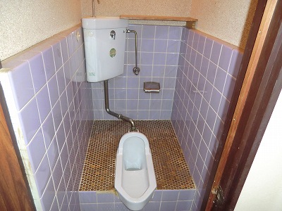 Toilet. Washing squat toilet. 