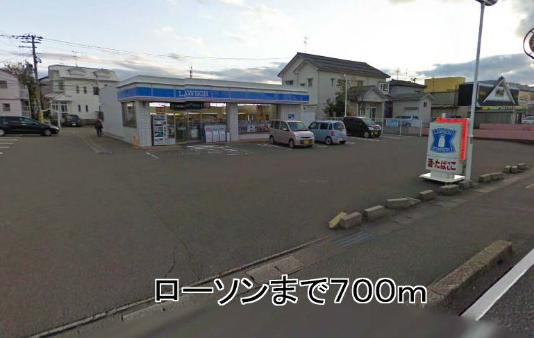 Convenience store. 700m until Lawson (convenience store)