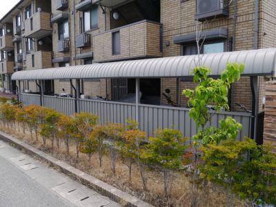 Other common areas. There are bicycle parking lot