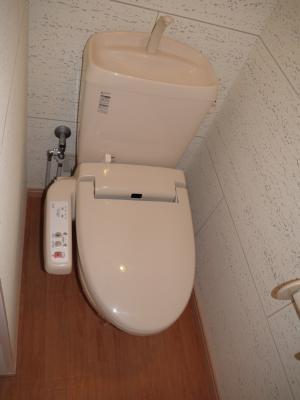 Toilet. Toilet: Of course with warm water washing toilet seat! 