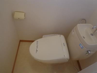 Toilet. Warm water washing toilet seat