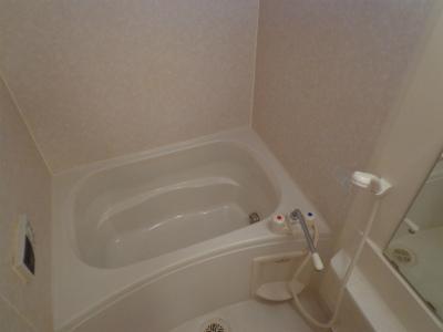 Bath. Tub with reheating