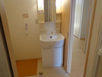 Washroom. Shampoo dresser